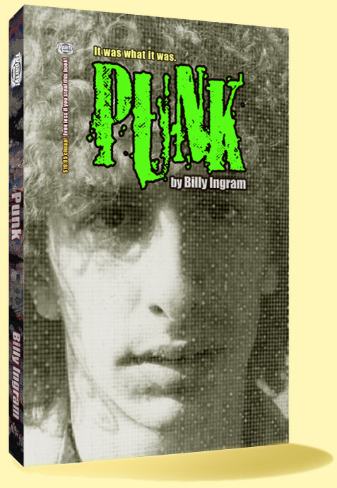 Punk Book / Punk Rock Book by Billy Eye