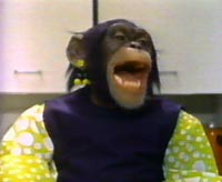 Mata from Lancelot Link Secret Chimp and the Evolution Revolution!